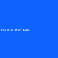 Herrliche Stahl-Zange